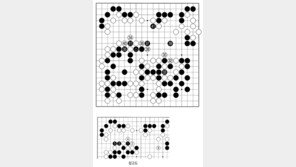 [바둑]제59기 국수전… 기세 vs 계산