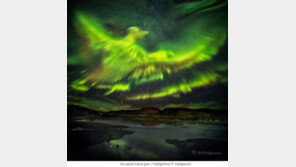 하늘을 나는 불사조~ 아이슬란드 오로라 피닉스