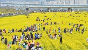 [부산의 미래, 낙동강시대]사람과 자연이 공존하는 ‘명품 생태공원’ 