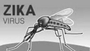 지카바이러스 한국인 감염자 첫 발생, 질본 “배우자 감염 여부도 검사”