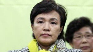 강금실, 더민주 향해 “미치려면 곱게 미치든가” 