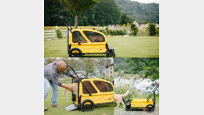 에어버기, 장애견용 개모차 출시