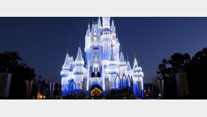 디즈니월드 반려동물 토탈 서비스한다