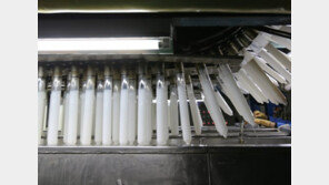 지카바이러스 한국인 감염자 첫 발생, 콘돔회사 주가 급등한 이유는?