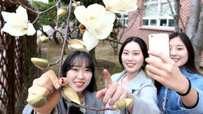 “봄이 왔어요”