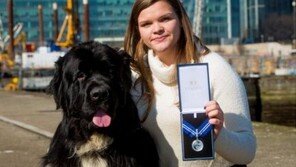 12년 삶에서 9명 구한 구조견..'사후 훈장'