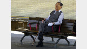 일본, '노령 반려동물' 대상 산업이 뜬다