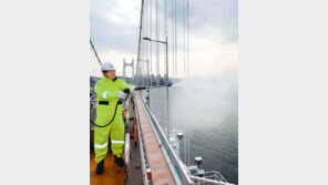 봄맞이 광안대교 주탑 청소