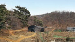 [화제의 분양현장]과천 자연녹지 매각… 3.3m²당 35만 원 