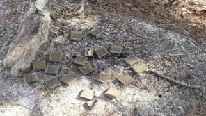 '광견병 미끼예방약' 4만개 살포한다