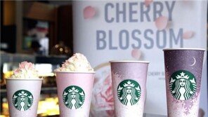 “온통 벚꽃으로 물들어”… 성큼 다가온 봄, ‘벚꽃 열풍’