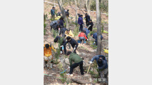 식목일 앞두고 나무심기