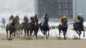 [홍당무의 경마오디세이] 1899년 도핑 첫 등장 그 기원은 경마였다
