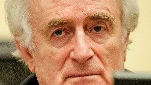 유고전범재판소, ‘발칸의 학살자’ 카라지치에 징역 40년형 선고