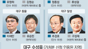 靑과 ‘돌아올 수 없는 강’ 건넌 金… 승부수인가 무리수인가 