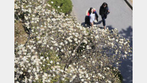 [오늘 날씨]낮 최고기온 7~14도, 주말까지 꽃샘추위 이어져