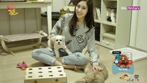 스카이펫파크 "방송 나오는 애견용품 바로 구매하세요"