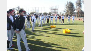 외국인투수 못 뽑는 LG, 어디가 잘못됐을까?