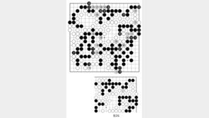 [바둑]제59기 국수전… 반집 승부