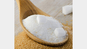 소금처럼 설탕도 이젠 NO! 식탁위 또 다른 ‘백색 전쟁’