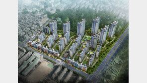 강남의 뜨거운 감자 개포지구재건축, 분양권 인기