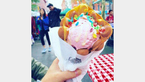 눈·입이 ‘호강’…인스타에서 뜨는 ‘이글루’