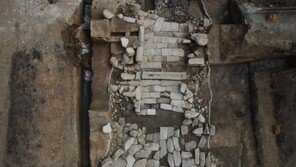 김제 벽골제의 수문 ‘중심거’ 구조 확인… 잔존 규모는?