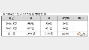 제주도, 1분기 유기동물 14% 늘어