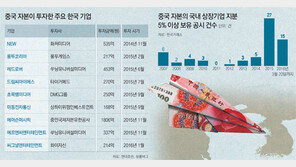 中서 통할 한류업종 찾아… 두달새 2조원 전략적 투자