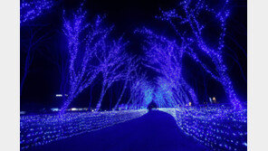 부산 마사회 ‘일루미아’ 빛축제 31일 개장