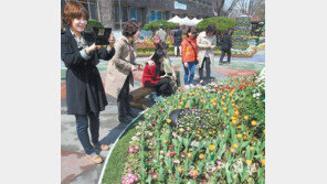 설레는 ‘봄꽃 잔치’