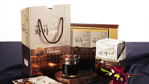 종근당건강, 차가버섯 농축액 출시