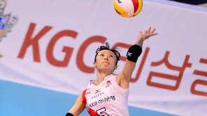 이효희 등 올림픽배구대표 명단 확정