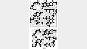 [바둑]제59기 국수전… 인간계