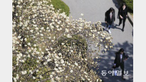 [오늘 날씨]낮 최고기온 15~23도, 전국 대체로 맑아…내일 제주도는 비소식