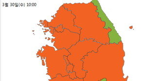 30일 미세먼지 나쁨 “호흡기 약하다면 마스크 꼭 쓰고 외출”