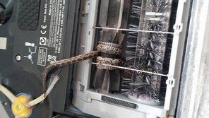 청소기 안에 뱀이 돌돌 말려 들어가… 헉!
