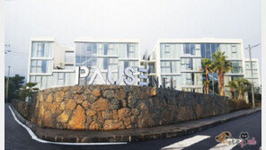 제주에서 강아지 데리고 한달 살아볼까