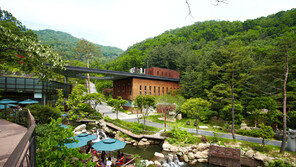 테마파크에 찾아온 봄