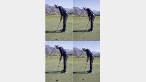 [JDX와 함께 하는 김도훈의 골프 솔루션] 티를 헤드의 앞·뒤에 꽂고 퍼팅…스트로크 정확도 높여주는 효과