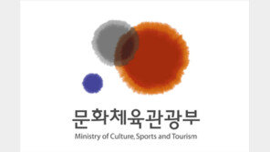 문체부, 국제관광정책관 신설