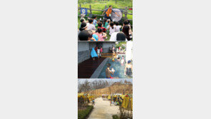 봄바람이 부추기네, 캠핑 어때?