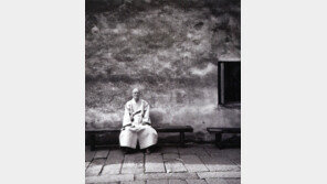 禪詩가 흐르는 수불스님 모습 52컷