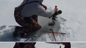 얼음 낚시하다가 새 낚아올린 낚시꾼 ‘황당’ 