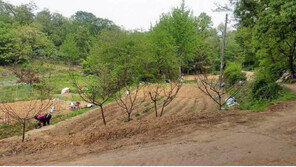 [Home&Dream]9호선 뚫리면 잠실 10분, 그린벨트 해제 1순위 토지 잡아라 