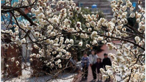 [오늘 날씨]낮 최고기온 16~23도, 전국 대체로 맑아…제주도 비 소식