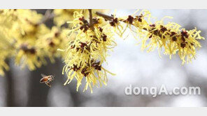 수도권 미세먼지 오전까지 ‘나쁨’…낮 기온 21도, 올 들어 가장 따뜻