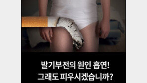 국내 첫 담뱃갑 경고그림 공개… 오는 12월부터 부착