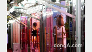 헌재, 성매매 특별법 ‘합헌’ 결정 “인간의 성상품화, 매우 유해”