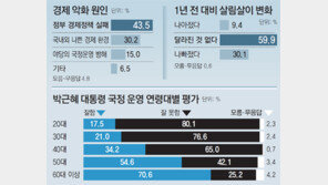 경제악화 “정부탓” 44%… “야당탓” 15% 